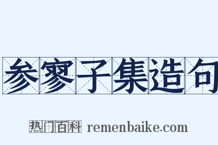 参寥子集造句是什么意思的图片